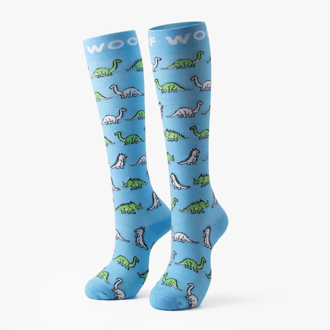 Dinosaurs Bamboo Compression Socks